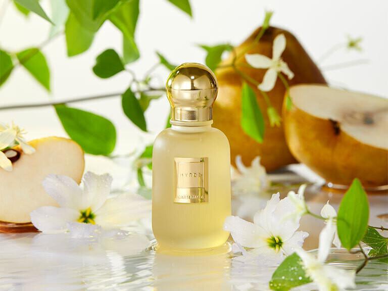 Resized Media/1042156 BYROE PEARSERUMOIL SALADLINE FULL LIFETSYLE